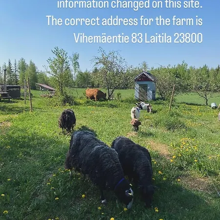 Niiralan Tila: Skylight