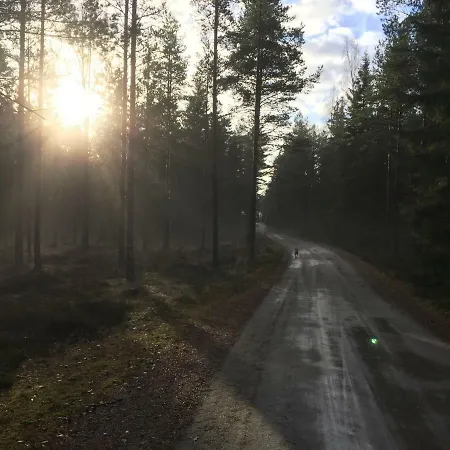 Niiralan Tila: Skylight 营地