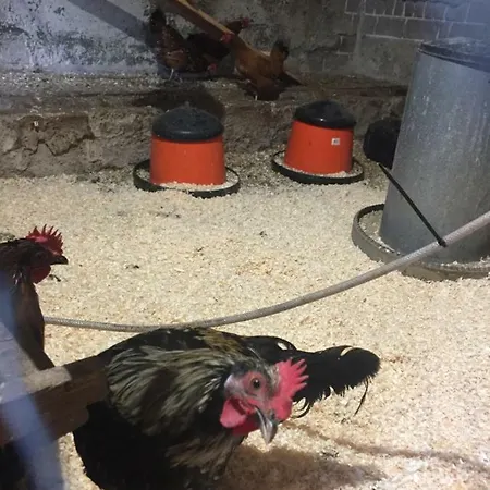 Niiralan Tila: Skylight Laitila