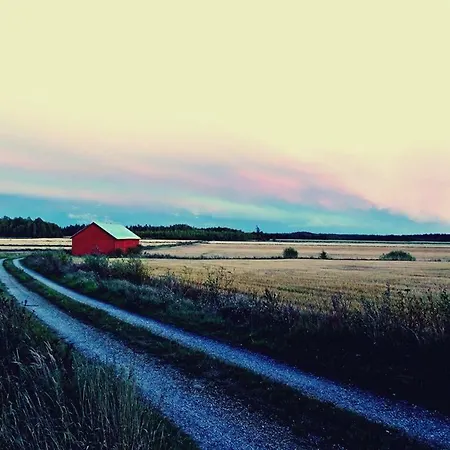 Niiralan Tila: Skylight * Laitila