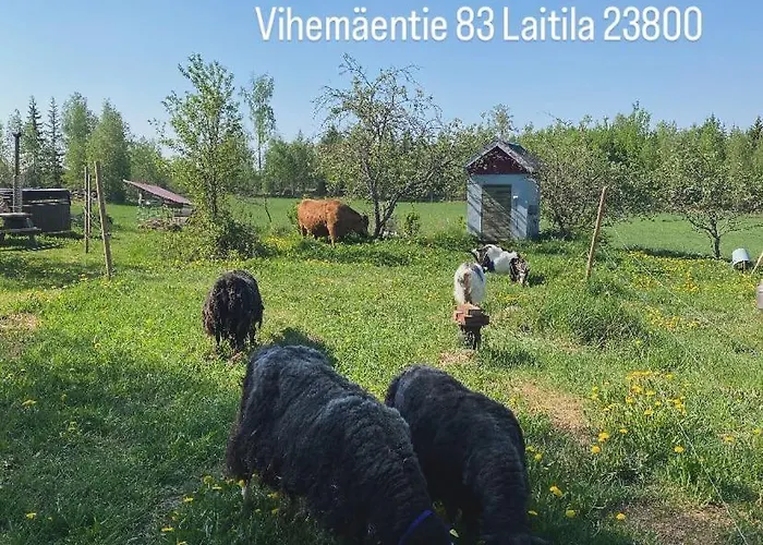 Niiralan Tila: Skylight