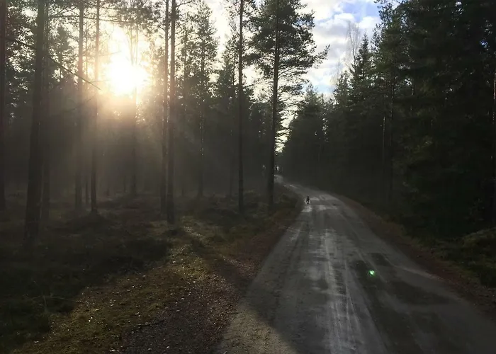 Niiralan Tila: Skylight Кемпинг