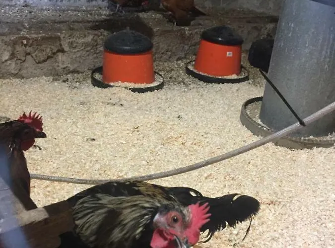 Niiralan Tila: Skylight Laitila