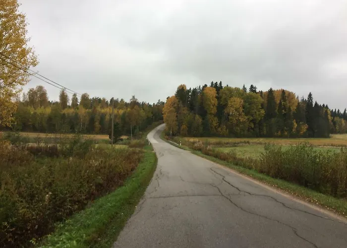 Niiralan Tila: Skylight Laitila