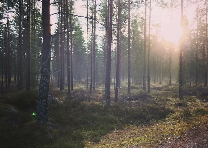 Кемпинг Niiralan Tila: Skylight