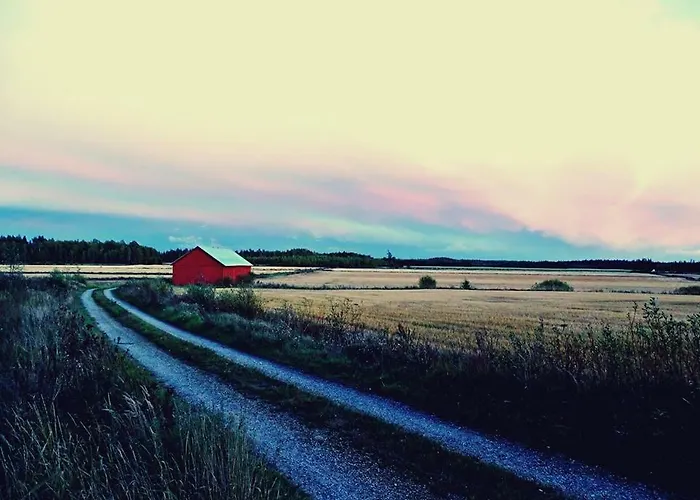 Niiralan Tila: Skylight * Laitila