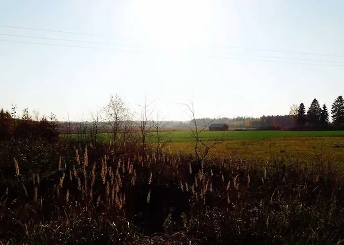 Niiralan Tila: Skylight Laitila