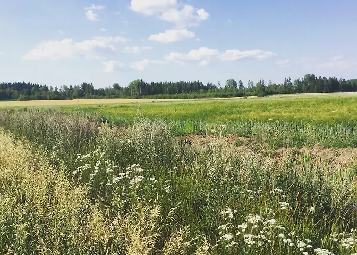 Niiralan Tila: Skylight Laitila